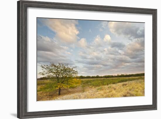 Clouds over the Prairie at Sunset, Texas, USA-Larry Ditto-Framed Photographic Print