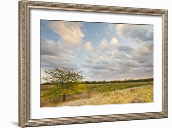 Clouds over the Prairie at Sunset, Texas, USA-Larry Ditto-Framed Photographic Print