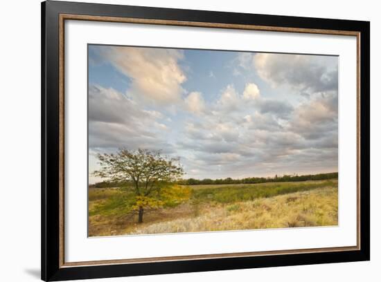 Clouds over the Prairie at Sunset, Texas, USA-Larry Ditto-Framed Photographic Print