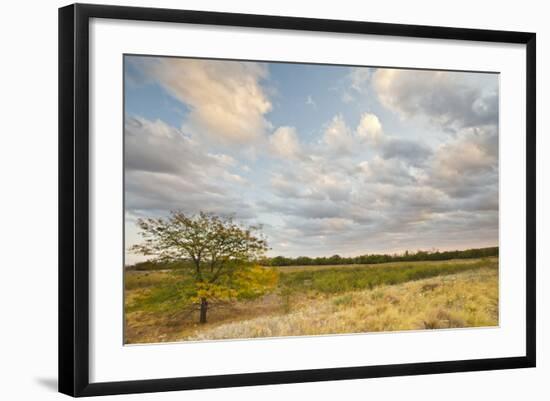 Clouds over the Prairie at Sunset, Texas, USA-Larry Ditto-Framed Photographic Print