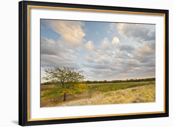 Clouds over the Prairie at Sunset, Texas, USA-Larry Ditto-Framed Photographic Print