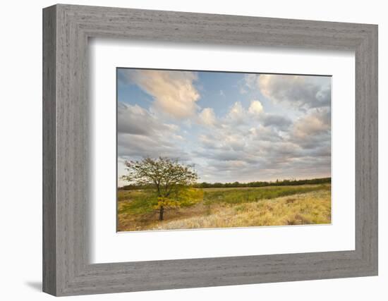 Clouds over the Prairie at Sunset, Texas, USA-Larry Ditto-Framed Photographic Print