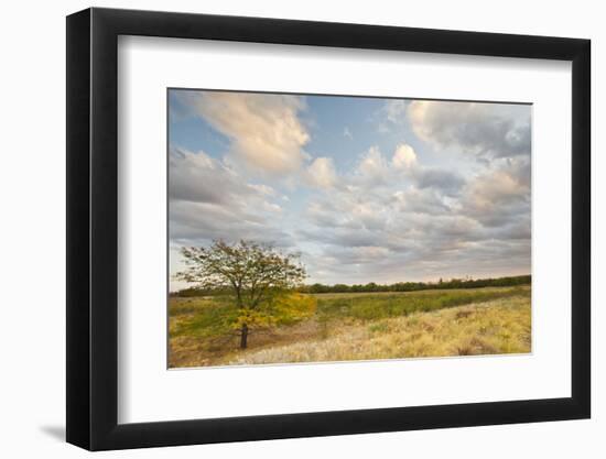 Clouds over the Prairie at Sunset, Texas, USA-Larry Ditto-Framed Photographic Print