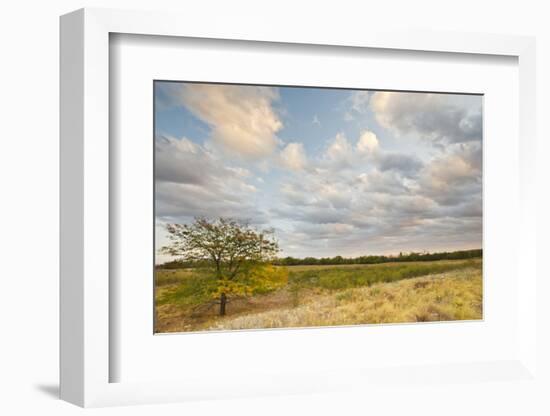 Clouds over the Prairie at Sunset, Texas, USA-Larry Ditto-Framed Photographic Print