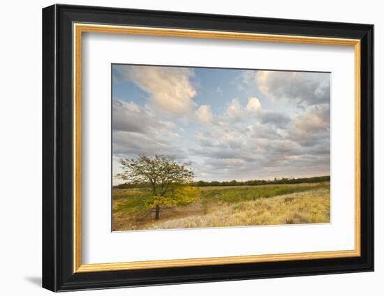 Clouds over the Prairie at Sunset, Texas, USA-Larry Ditto-Framed Photographic Print