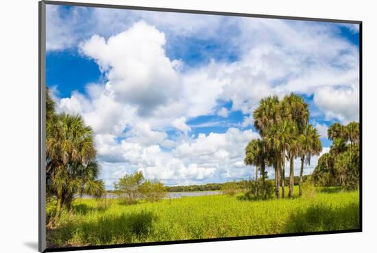 Clouds over Trees in a Forest, Myakka River State Park, Sarasota, Sarasota County, Florida, USA-null-Mounted Photographic Print
