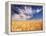 Clouds over Wheat Field Agriculture-Stuart Westmorland-Framed Premier Image Canvas