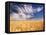 Clouds over Wheat Field Agriculture-Stuart Westmorland-Framed Premier Image Canvas