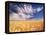 Clouds over Wheat Field Agriculture-Stuart Westmorland-Framed Premier Image Canvas