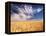 Clouds over Wheat Field Agriculture-Stuart Westmorland-Framed Premier Image Canvas