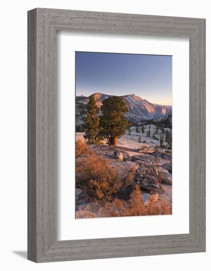 Clouds Rest Mountain in the High Sierras-Adam Burton-Framed Photographic Print