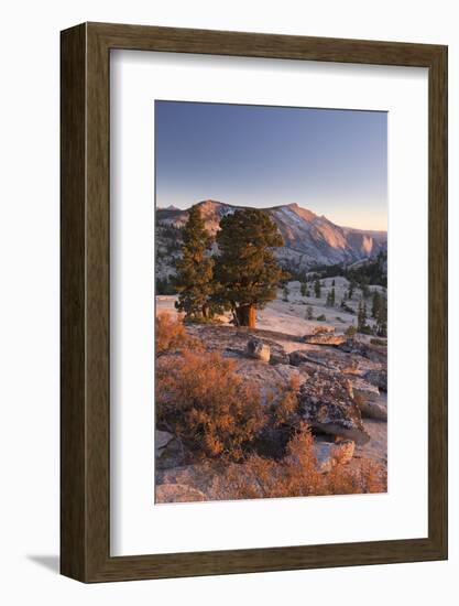 Clouds Rest Mountain in the High Sierras-Adam Burton-Framed Photographic Print