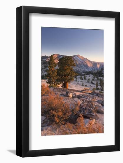 Clouds Rest Mountain in the High Sierras-Adam Burton-Framed Photographic Print