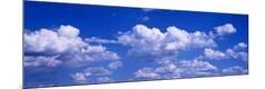 Premium Photographic Print