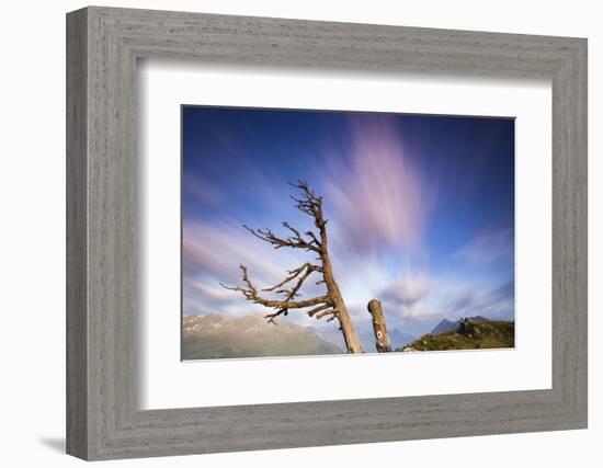 Clouds with Knobby Tree in the Foreground-Niki Haselwanter-Framed Photographic Print