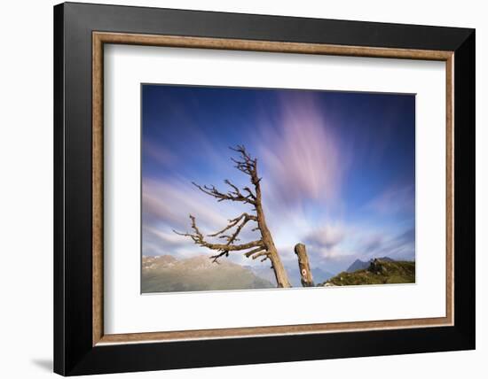 Clouds with Knobby Tree in the Foreground-Niki Haselwanter-Framed Photographic Print