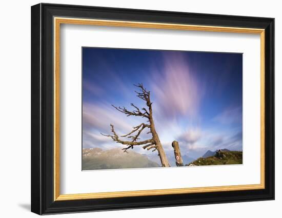 Clouds with Knobby Tree in the Foreground-Niki Haselwanter-Framed Photographic Print