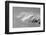 Clouds Wrapped Summit of Mount Rainier, Mt Rainier National Park, Washington, USA-Paul Souders-Framed Photographic Print