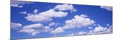 Premium Photographic Print