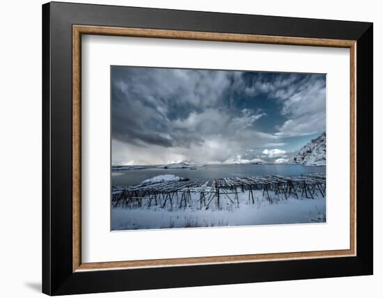 Cloudy Day in Norway-Philippe Sainte-Laudy-Framed Photographic Print