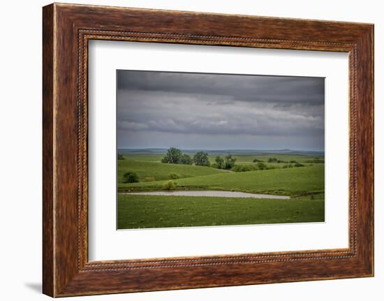 Cloudy day in the Flint Hills of Kansas-Michael Scheufler-Framed Photographic Print