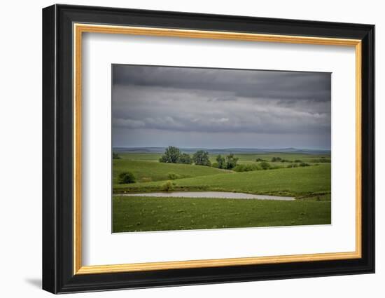 Cloudy day in the Flint Hills of Kansas-Michael Scheufler-Framed Photographic Print