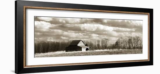 Cloudy Skies Panel II-Alan Hausenflock-Framed Photographic Print