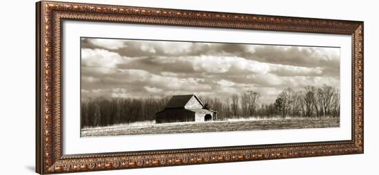 Cloudy Skies Panel II-Alan Hausenflock-Framed Photographic Print