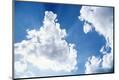 Premium Photographic Print