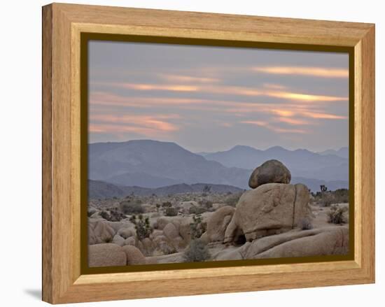 Cloudy Sunrise, Joshua Tree National Park, California, United States of America, North America-James Hager-Framed Premier Image Canvas