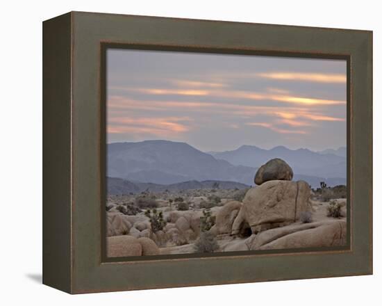 Cloudy Sunrise, Joshua Tree National Park, California, United States of America, North America-James Hager-Framed Premier Image Canvas