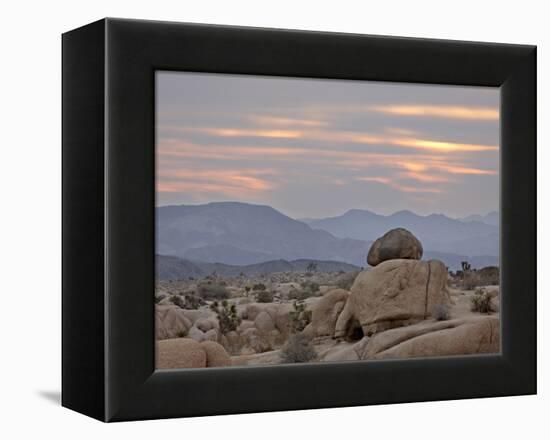 Cloudy Sunrise, Joshua Tree National Park, California, United States of America, North America-James Hager-Framed Premier Image Canvas