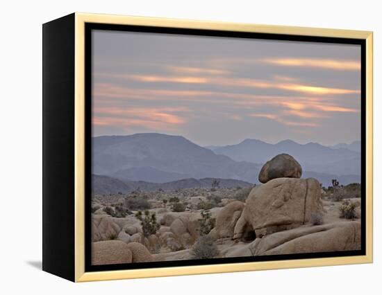 Cloudy Sunrise, Joshua Tree National Park, California, United States of America, North America-James Hager-Framed Premier Image Canvas