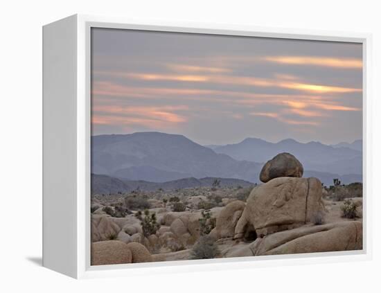 Cloudy Sunrise, Joshua Tree National Park, California, United States of America, North America-James Hager-Framed Premier Image Canvas