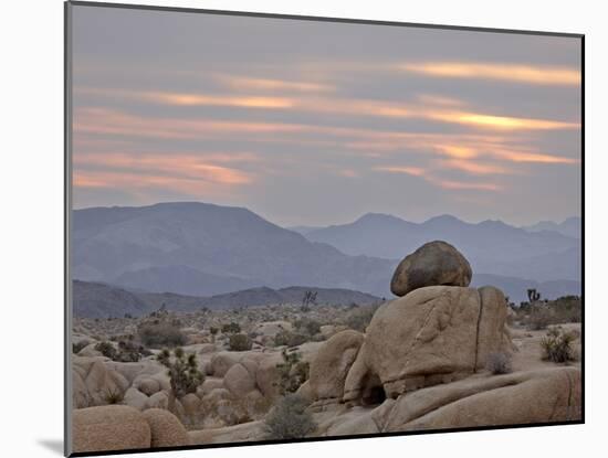 Cloudy Sunrise, Joshua Tree National Park, California, United States of America, North America-James Hager-Mounted Photographic Print