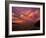 Cloudy Sunrise, Kaokoland, Namibia-Tony Heald-Framed Photographic Print