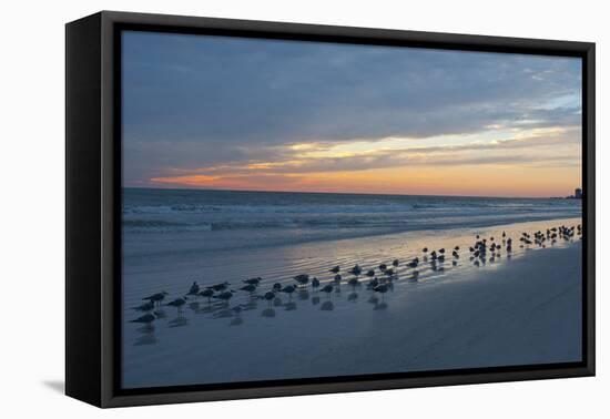 Cloudy Sunset on Crescent Beach, Siesta Key, Sarasota, Florida, USA-Bernard Friel-Framed Premier Image Canvas