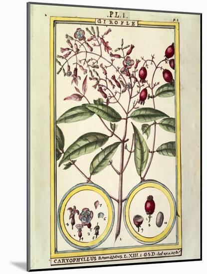 Clove (Caryophyllus Aromaticus), 1789-null-Mounted Giclee Print