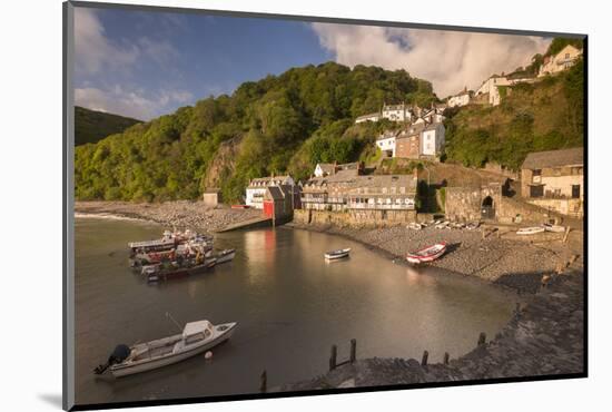 Clovelly harbour in early morning light, North Devon, UK-Ross Hoddinott-Mounted Photographic Print