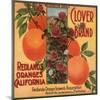 Clover Brand - Redlands, California - Citrus Crate Label-Lantern Press-Mounted Art Print