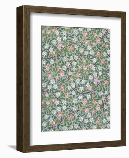 Clover Wallpaper, Paper, England, Late 19th Century-William Morris-Framed Giclee Print