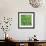 Clover-Micha Pawlitzki-Framed Photographic Print displayed on a wall