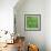 Clover-Micha Pawlitzki-Framed Photographic Print displayed on a wall