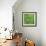 Clover-Micha Pawlitzki-Framed Photographic Print displayed on a wall