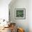 Clover-Micha Pawlitzki-Framed Photographic Print displayed on a wall