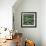 Clover-Micha Pawlitzki-Framed Photographic Print displayed on a wall