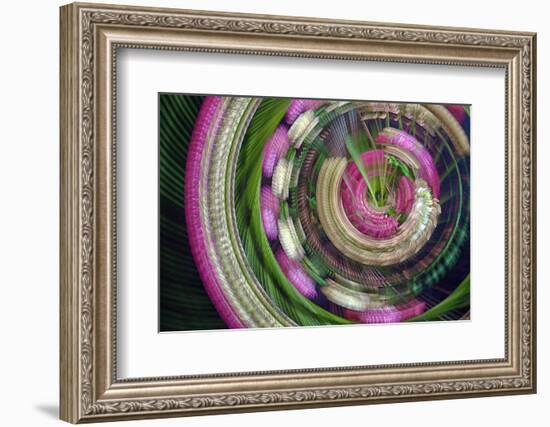 Clover-Heidi Westum-Framed Photographic Print