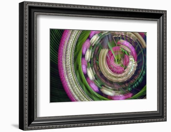 Clover-Heidi Westum-Framed Photographic Print