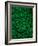 Clovers-Jim Zuckerman-Framed Photographic Print