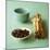 Cloves and Cinnamon Sticks-Michael Paul-Mounted Photographic Print